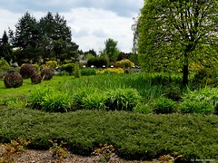 Arboretum w Bolestraszycach