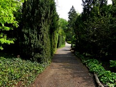 Arboretum w Bolestraszycach
