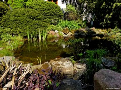 Arboretum w Bolestraszycach
