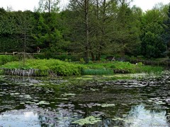Arboretum w Bolestraszycach