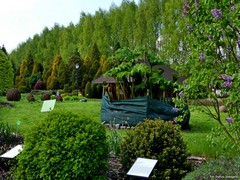 Arboretum w Bolestraszycach