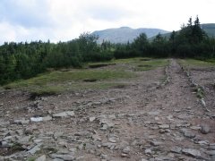 Babia G�ra z Prze��czy Brona