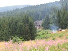 Hala Krupowa