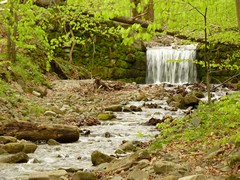 Potok w Dolinie Wapienicy
