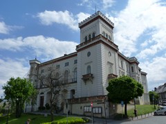 Zamek ksi���t Su�kowskich