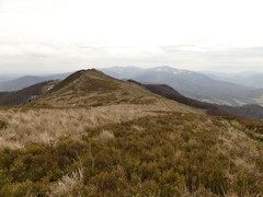 Po�onina Cary�ska