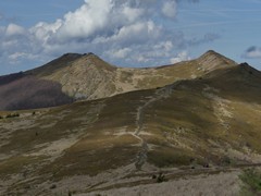 Po�onina Wetli�ska