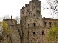 Zamek w Drzewicy