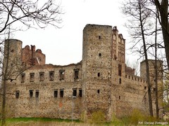 Zamek w Drzewicy