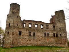 Zamek w Drzewicy