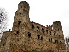 Zamek w Drzewicy