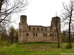 Zamek w Drzewicy