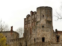 Zamek w Drzewicy