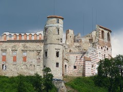 Zamek w Janowcu