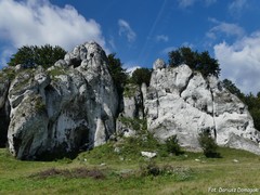 Ska�y Rz�dkowickie