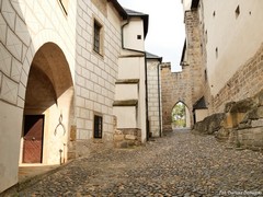 Zamek Kost