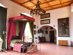 Zamek Kost
