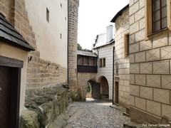 Zamek Kost