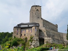 Zamek Kost
