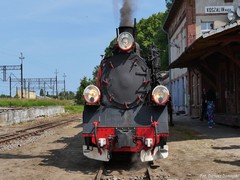 Koszali�ska Kolej W�skotorowa