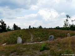 Kamienne kr�gi w Le�nie