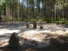 Kamienne kr�gi w W�siorach