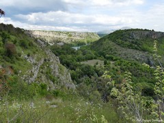 Park Narodowy Krka