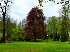 Zesp� pa�acowo-parkowy Odrow���w w Chlewiskach