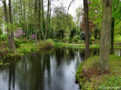 Zesp� pa�acowo-parkowy Odrow���w w Chlewiskach