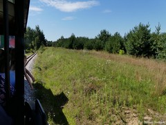 Starachowicka Kolej W�skotorowa (odcinek I��a-Marcule)