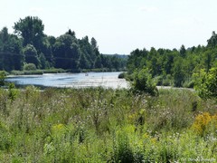 Starachowicka Kolej W�skotorowa (odcinek I��a-Marcule)