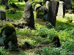 Mizar w Kruszynianach