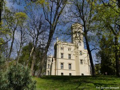 Pa�ac w Mierz�cinie