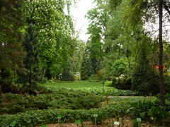 Ogr�d Botaniczny we Wroc�awiu