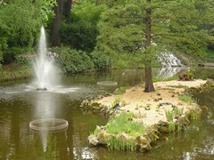 Ogr�d Botaniczny we Wroc�awiu