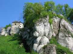 Ruiny zamku w Ojcowie