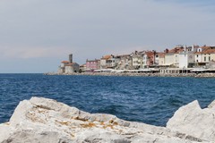 Widok na miasto z portu