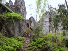 Prachovsk� sk�ly