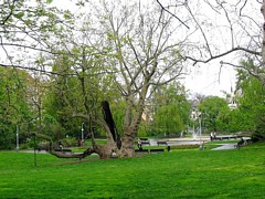 Park na placu Karola