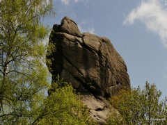 Rezerwat Przyrody Prz�dki