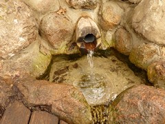 Rezerwat �r�d�o Kr�lewskie