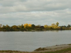 Wis�a w Grudzi�dzu