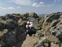 Owieczki na Wielkiej Rawce