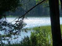 Nad jeziorem Wdzydze