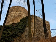 Zamek Wle� (Wle�ski Gr�dek)