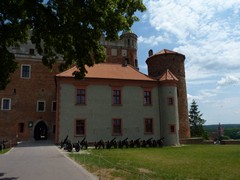 Zamek w Golubiu-Dobrzyniu